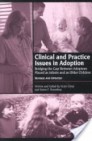 Clinical and practice issues in adoption - Hfundar: Victor Groza og Karen F. Rosenberg